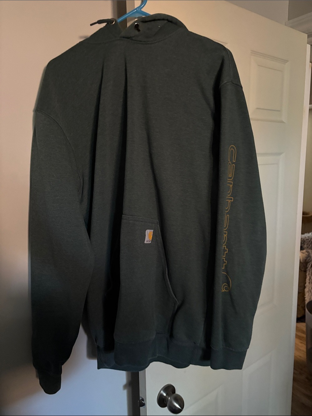 Carhartt Men's Forest Green Zip-Up Hoodie with Logo Sleeve